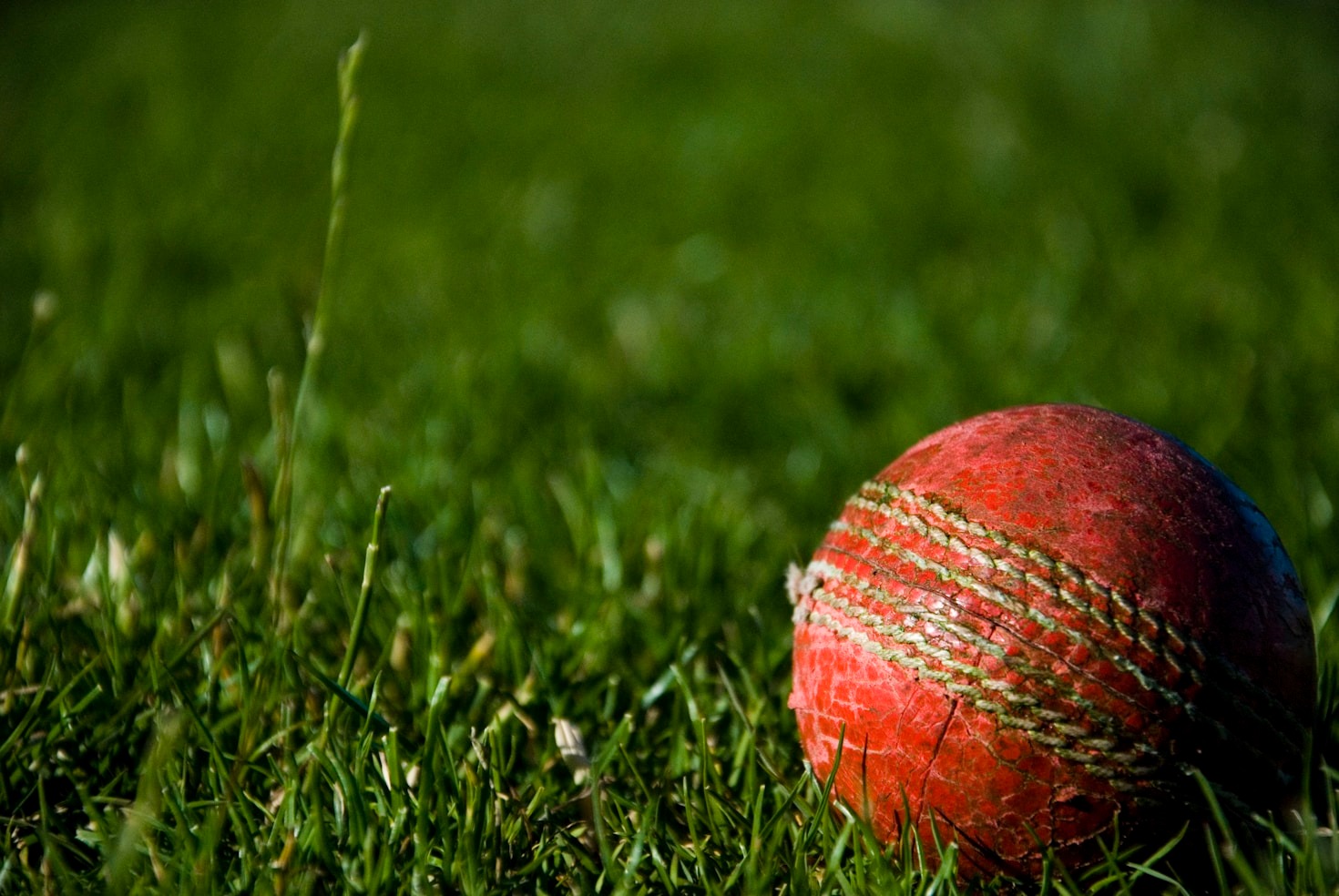 Top Cricket Events Happening in Indiana This Year